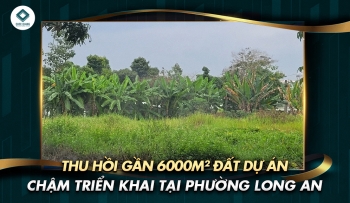 THU HỒI GẦN 6000M² ĐẤT DỰ ÁN CHẬM TRIỂN KHAI TẠI PHƯỜNG LONG AN