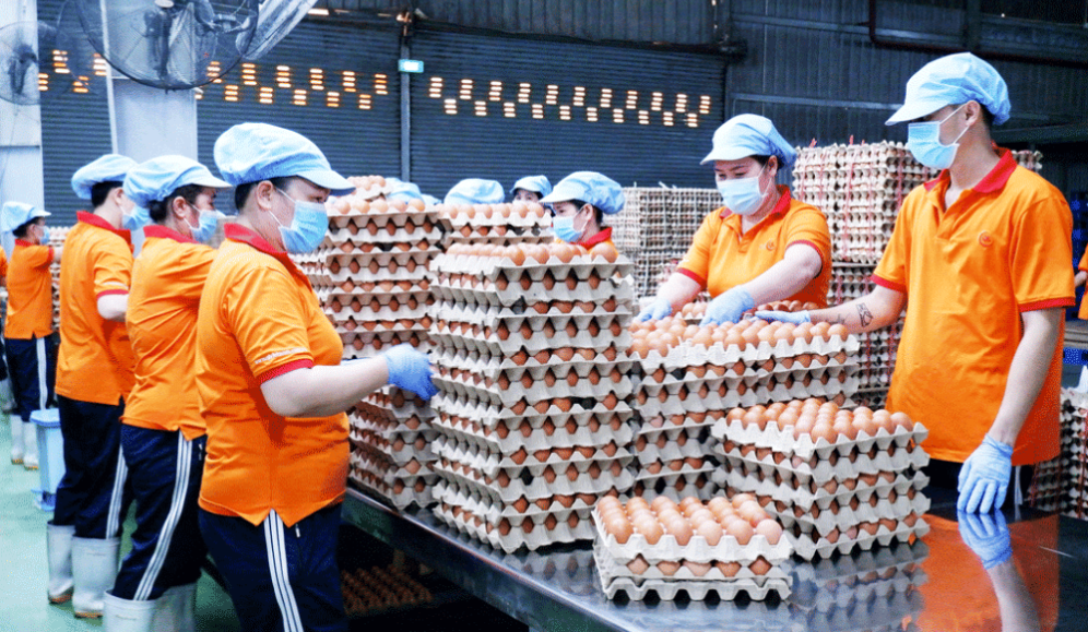 Nhiều doanh nghiệp đang đẩy mạnh sản xuất hướng đến xuất khẩu phục vụ nhu cầu cao của thị trường cuối năm